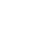 ms-silver-partner